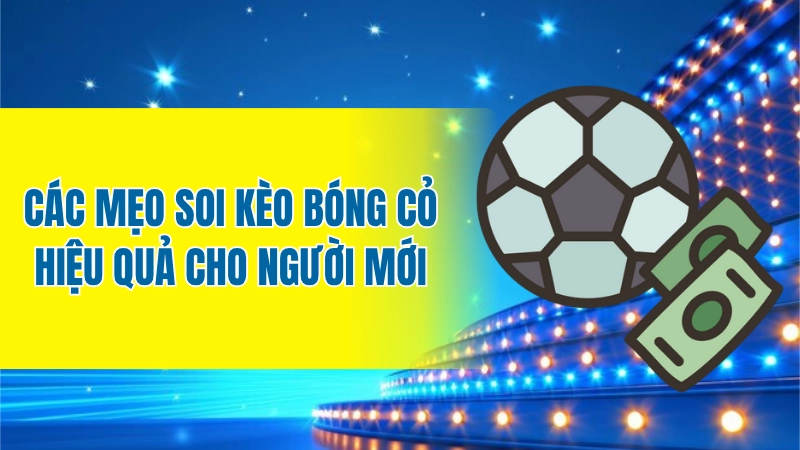 Các mẹo soi kèo bóng cỏ hiệu quả cho người mới
