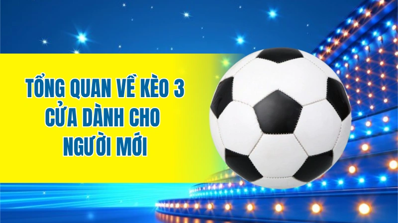 Tổng quan về kèo 3 cửa dành cho người mới