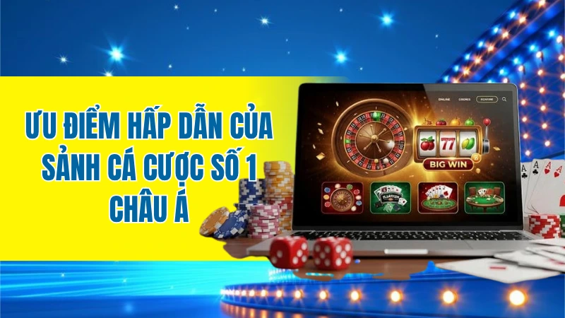Ưu điểm hấp dẫn của sảnh cá cược số 1 Châu Á